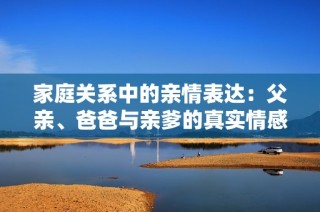 家庭关系中的亲情表达：父亲、爸爸与亲爹的真实情感探讨
