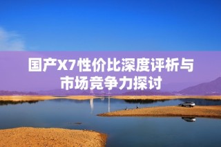 国产X7性价比深度评析与市场竞争力探讨
