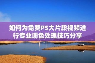 如何为免费PS大片段视频进行专业调色处理技巧分享