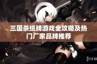 三国杀纸牌游戏全攻略及热门厂家品牌推荐