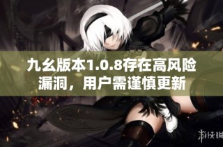 九幺版本1.0.8存在高风险漏洞，用户需谨慎更新