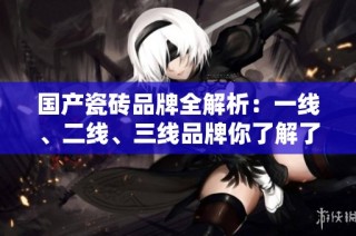 国产瓷砖品牌全解析：一线、二线、三线品牌你了解了吗