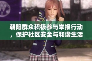 朝阳群众积极参与举报行动，保护社区安全与和谐生活