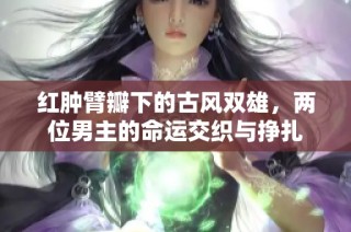 红肿臂瓣下的古风双雄，两位男主的命运交织与挣扎