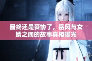 最终还是妥协了，岳风与女婿之间的故事真相曝光
