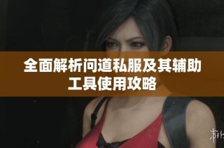 全面解析问道私服及其辅助工具使用攻略
