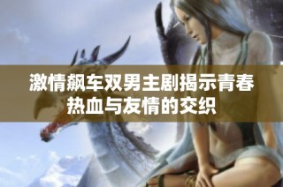 激情飙车双男主剧揭示青春热血与友情的交织