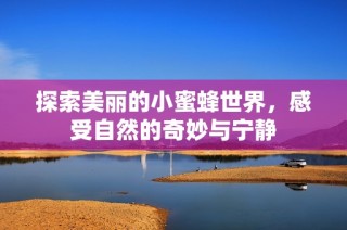 探索美丽的小蜜蜂世界，感受自然的奇妙与宁静