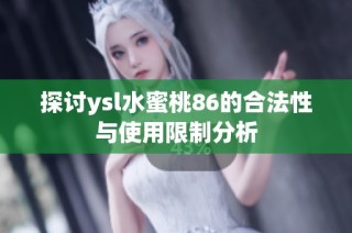探讨ysl水蜜桃86的合法性与使用限制分析
