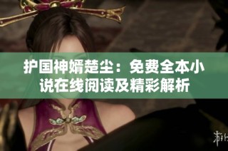 护国神婿楚尘：免费全本小说在线阅读及精彩解析