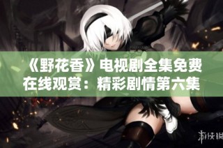 《野花香》电视剧全集免费在线观赏：精彩剧情第六集概览