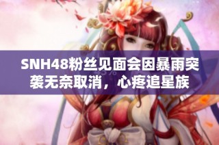 SNH48粉丝见面会因暴雨突袭无奈取消，心疼追星族