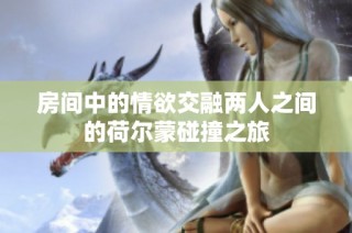 房间中的情欲交融两人之间的荷尔蒙碰撞之旅