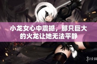 小龙女心中震撼，那只巨大的火龙让她无法平静