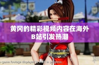 黄冈的精彩视频内容在海外B站引发热潮