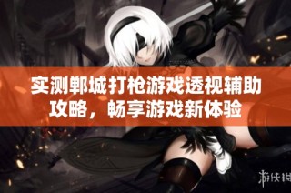 实测郸城打枪游戏透视辅助攻略，畅享游戏新体验