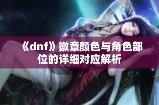 《dnf》徽章颜色与角色部位的详细对应解析