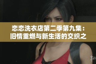 恋恋洗衣店第二季第九集：旧情重燃与新生活的交织之旅