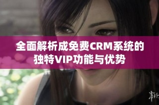 全面解析成免费CRM系统的独特VIP功能与优势