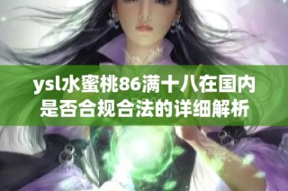 ysl水蜜桃86满十八在国内是否合规合法的详细解析