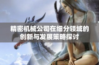 精密机械公司在细分领域的创新与发展策略探讨