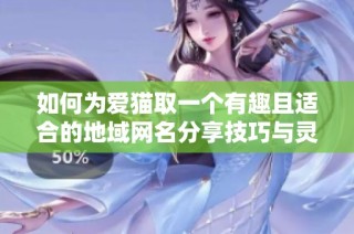 如何为爱猫取一个有趣且适合的地域网名分享技巧与灵感