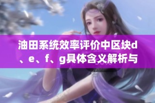 油田系统效率评价中区块d、e、f、g具体含义解析与应用探讨