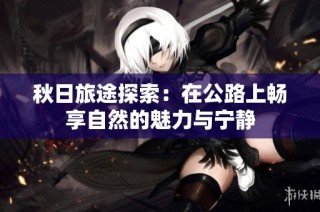 秋日旅途探索：在公路上畅享自然的魅力与宁静