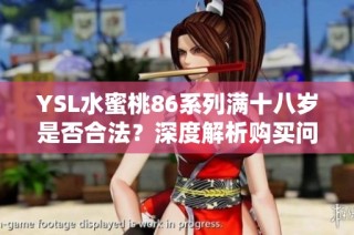 YSL水蜜桃86系列满十八岁是否合法？深度解析购买问题