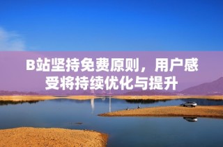 B站坚持免费原则，用户感受将持续优化与提升