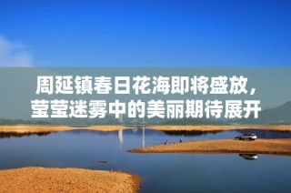 周延镇春日花海即将盛放，莹莹迷雾中的美丽期待展开