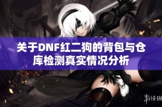 关于DNF红二狗的背包与仓库检测真实情况分析