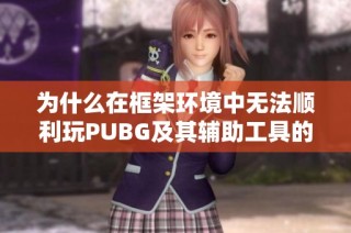 为什么在框架环境中无法顺利玩PUBG及其辅助工具的使用方法
