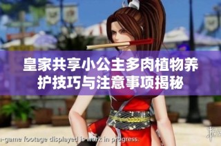 皇家共享小公主多肉植物养护技巧与注意事项揭秘
