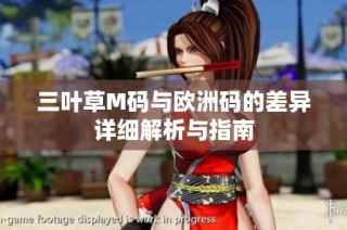 三叶草M码与欧洲码的差异详细解析与指南