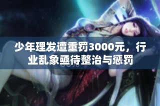 少年理发遭重罚3000元，行业乱象亟待整治与惩罚