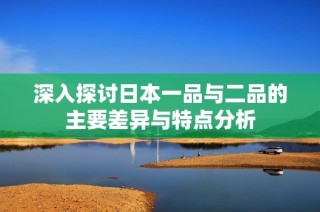 深入探讨日本一品与二品的主要差异与特点分析