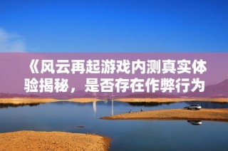 《风云再起游戏内测真实体验揭秘，是否存在作弊行为》