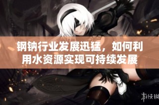 钢钠行业发展迅猛，如何利用水资源实现可持续发展