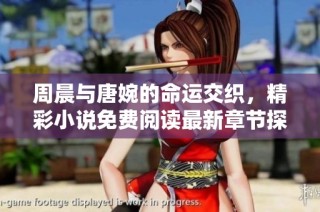 周晨与唐婉的命运交织，精彩小说免费阅读最新章节探秘