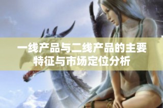 一线产品与二线产品的主要特征与市场定位分析