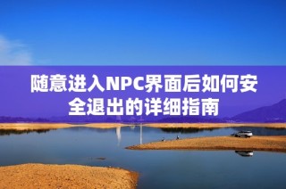 随意进入NPC界面后如何安全退出的详细指南