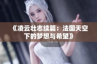 《凌云壮志续篇：法国天空下的梦想与希望》
