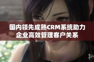 国内领先成熟CRM系统助力企业高效管理客户关系