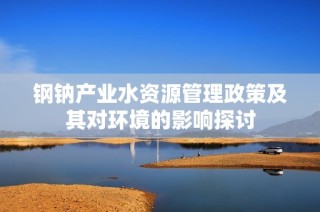 钢钠产业水资源管理政策及其对环境的影响探讨