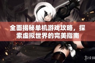 全面揭秘单机游戏攻略，探索虚拟世界的完美指南
