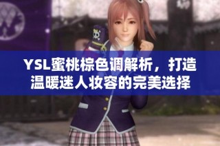 YSL蜜桃棕色调解析，打造温暖迷人妆容的完美选择