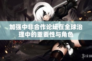 加强中非合作论坛在全球治理中的重要性与角色