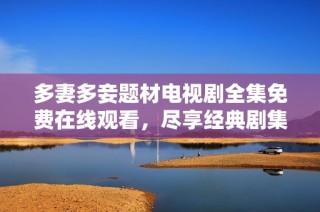 多妻多妾题材电视剧全集免费在线观看，尽享经典剧集乐趣