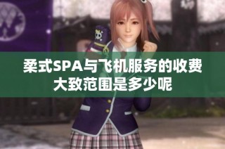 柔式SPA与飞机服务的收费大致范围是多少呢
